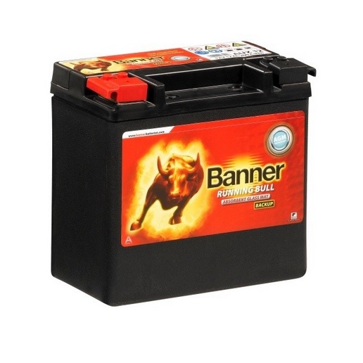 Batteri Backup AGM 12V 12Ah Banner 1